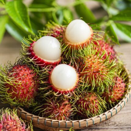 Rambutan Fruit Plant
